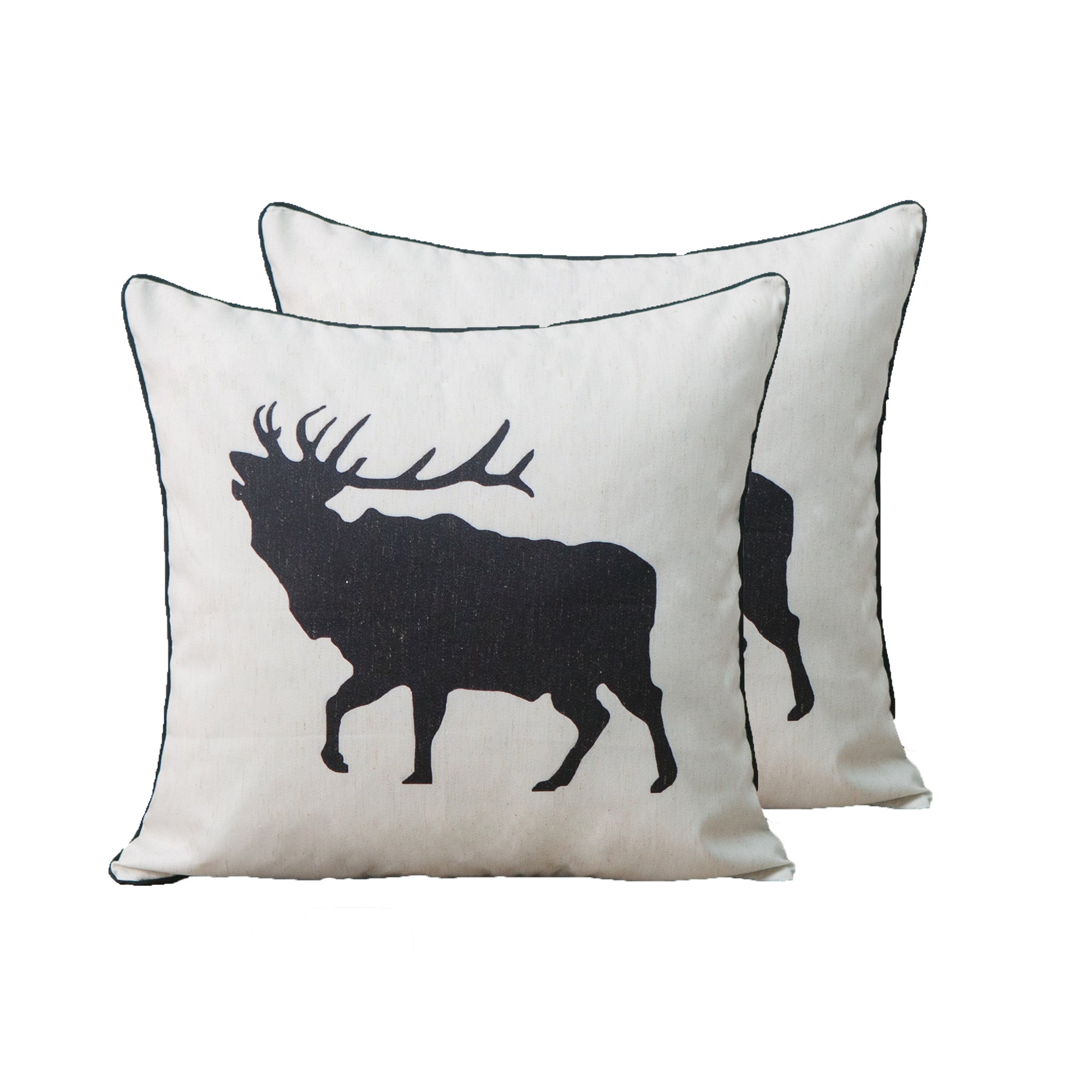 Cottage Icons throw pillow - set of 2 - Peterson Housewares & Artwares